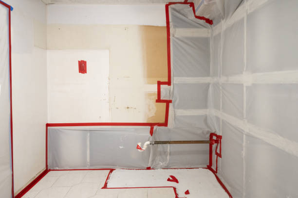 Best Commercial Mold Inspection  in Coos Bay, OR