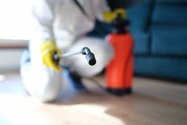 Best Dehumidification Services  in Coos Bay, OR