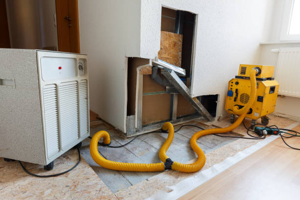 Best Attic Mold Removal  in Coos Bay, OR