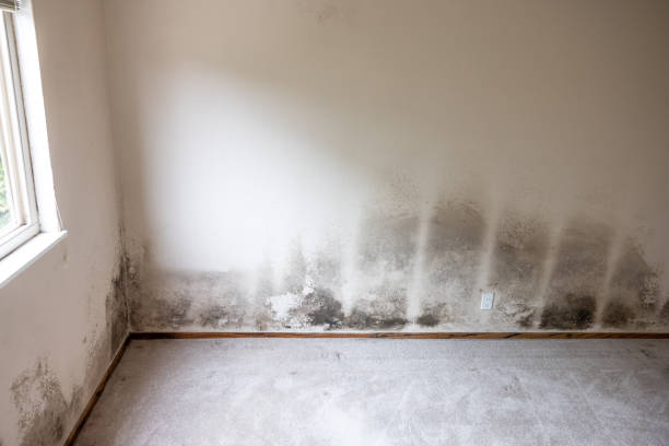 Best Post-Remediation Verification Testing  in Coos Bay, OR