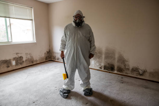 Best Forensic Mold Investigation  in Coos Bay, OR